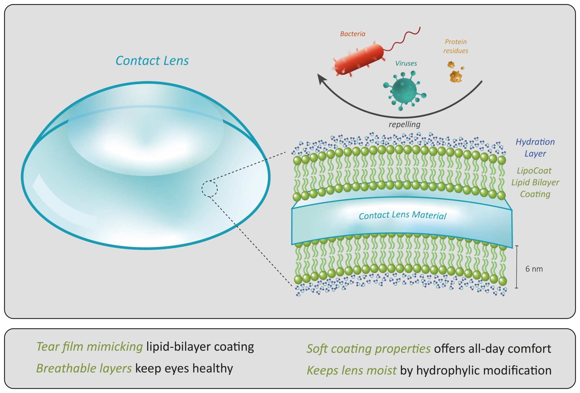 Contact lens coating - LipoCoat